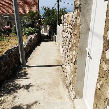 Nikola
