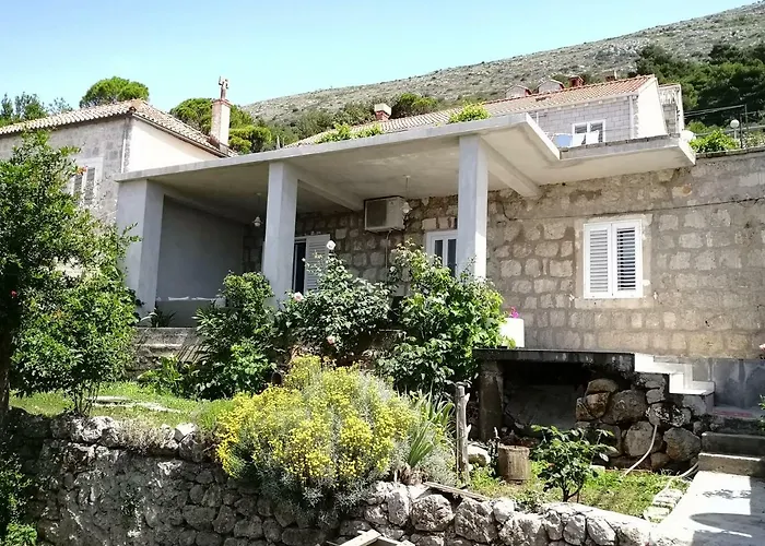 Apartment Nikola